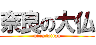 奈良の大仏 (nara taitan)