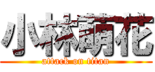 小林萌花 (attack on titan)