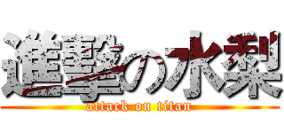 進擊の水梨 (attack on titan)