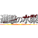 進擊の水梨 (attack on titan)