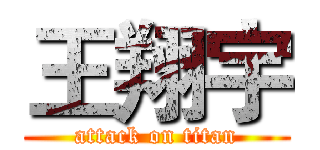 王翔宇 (attack on titan)