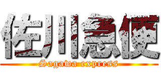 佐川急便 (Sagawa express)