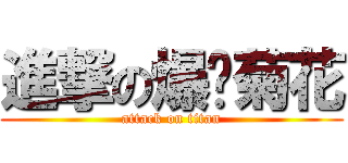 進撃の爆你菊花 (attack on titan)