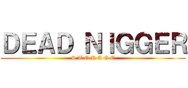 ＤＥＡＤ ＮＩＧＧＥＲ (S T O R A G E)