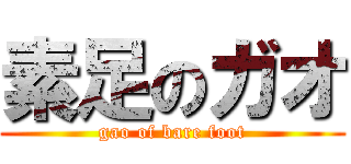 素足のガオ (gao of bare foot)