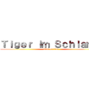 Ｔｉｇｅｒ ｉｍ Ｓｃｈｌａｍｍ (attack on titan)