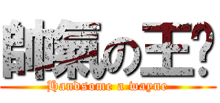 帥氣の王瑋 (Handsome a wayne)