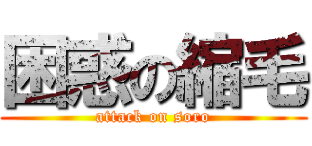困惑の縮毛 (attack on soro)