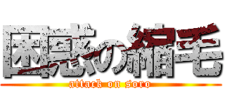 困惑の縮毛 (attack on soro)