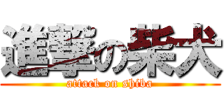 進撃の柴犬 (attack on shiba)