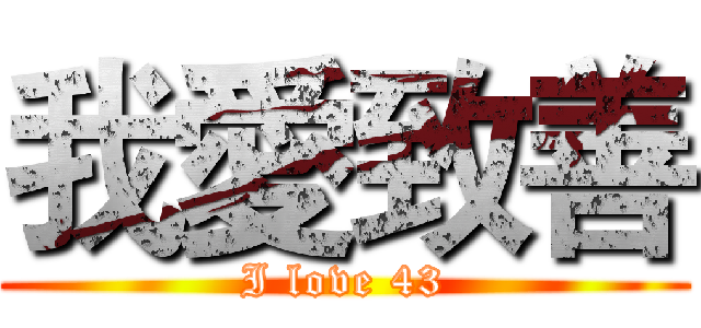 我愛致善 (I love 43)