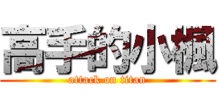 高手的小楓 (attack on titan)