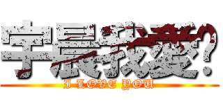 宇晨我愛妳 (I LOVE YOU)