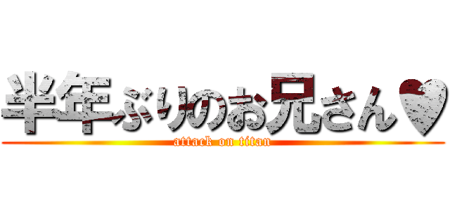 半年ぶりのお兄さん♥ (attack on titan)