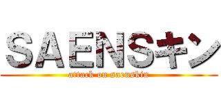 ＳＡＥＮＳキン (attack on saenskin)