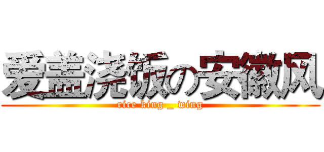 爱盖浇饭の安徽风 (rice king _ wing)