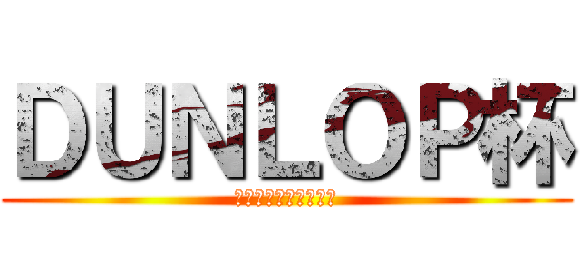 ＤＵＮＬＯＰ杯 (ＭＧ９ジムカーナ大会)