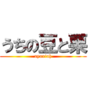 うちの豆と栗 (ayaxiah)