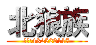 北狼族 (群号:432520117)