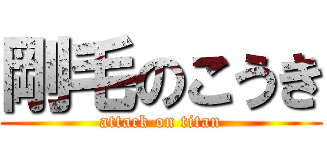 剛毛のこうき (attack on titan)