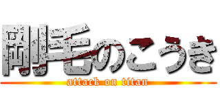 剛毛のこうき (attack on titan)