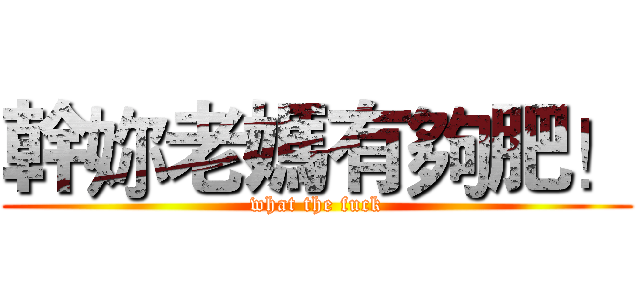 幹妳老媽有夠肥！ (what the fuck)
