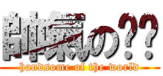 帥氣の嘎瑋 (handsome of the world)