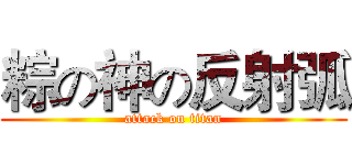粽の神の反射弧 (attack on titan)