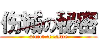 伤城の秘密 (secret of castle)