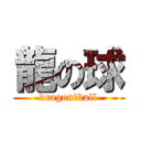 龍の球 (dragon　ball)