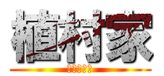 植村家 (この世最強)