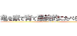 亀を家で育て最終的にたべられるよう (attack on titan)