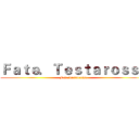 Ｆａｔｅ．Ｔｅｓｔａｒｏｓｓａ (Fate.Testarossa)