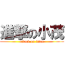 進撃の小茂 (attack on titan)