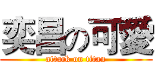 奕昌の可愛 (attack on titan)