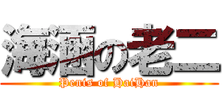 海涵の老二 (Penis of HaiHan)