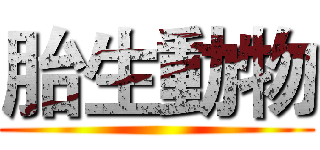 胎生動物 ()