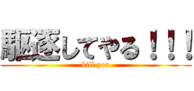 駆逐してやる！！！ (kill you)