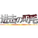 进击の叼毛 (attack on titan)