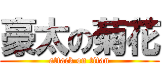 豪太の菊花 (attack on titan)