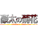 豪太の菊花 (attack on titan)