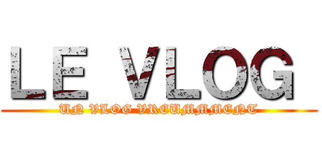 ＬＥ ＶＬＯＧ  (UN VLOG VREUMMMENT)