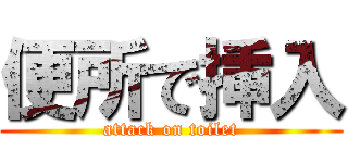 便所で挿入 (attack on toilet)