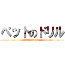 ペットのドリル (drill of pet)