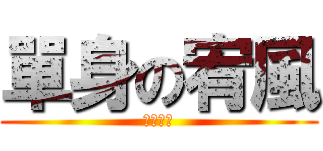 單身の宥風 (杯了具的)