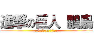 進撃の巨人 鵬鳥 (attack on titan)