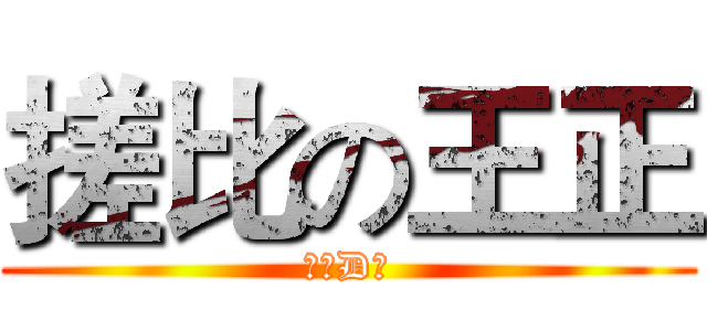 搓比の王正 (你个D毛)