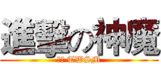 進擊の神魔 (巴哈 TWSM)