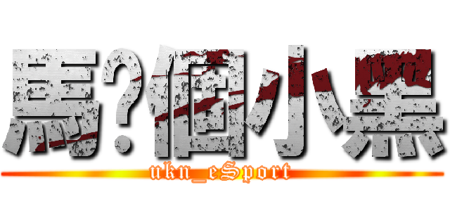 馬你個小黑 (ukn_eSport)