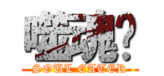 噬魂师 (SOUL EATER)